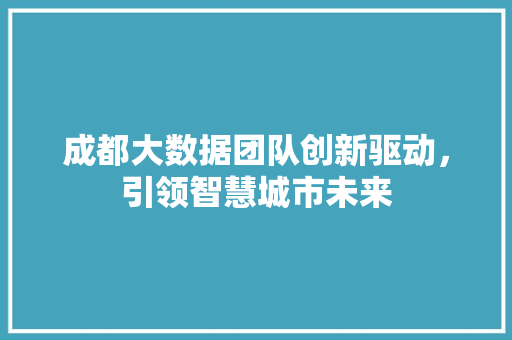 成都大数据团队创新驱动,引领智慧城市未来 成都大数据团队创新驱动,引领智慧城市未来