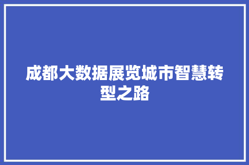 成都大数据展览城市智慧转型之路