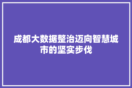成都大数据整治迈向智慧城市的坚实步伐 成都大数据整治迈向智慧城市的坚实步伐