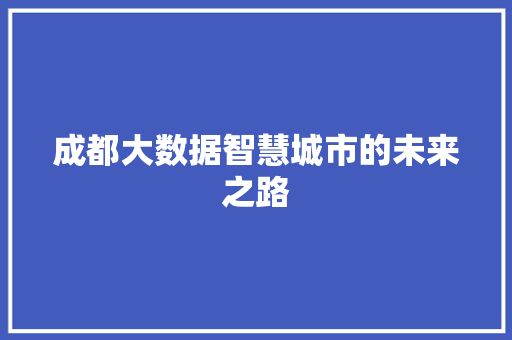 成都大数据智慧城市的未来之路