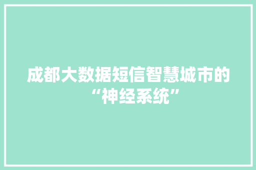 成都大数据短信智慧城市的“神经系统”