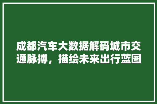 成都汽车大数据解码城市交通脉搏,描绘未来出行蓝图 成都汽车大数据解码城市交通脉搏,描绘未来出行蓝图