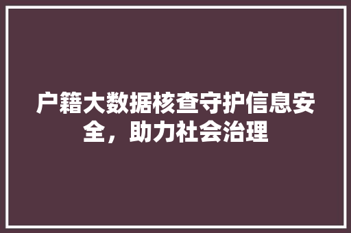 户籍大数据核查守护信息安全，助力社会治理