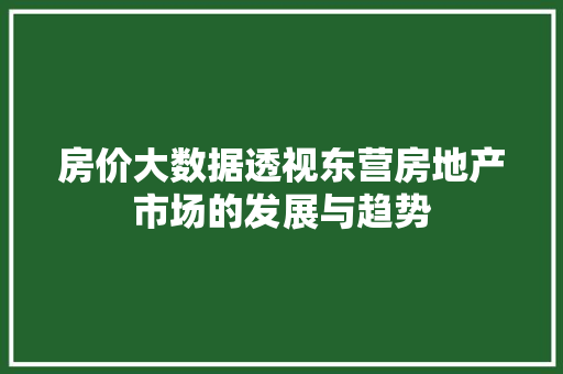 房价大数据透视东营房地产市场的发展与趋势