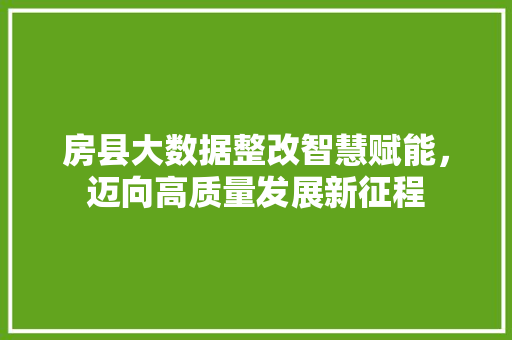 房县大数据整改智慧赋能，迈向高质量发展新征程