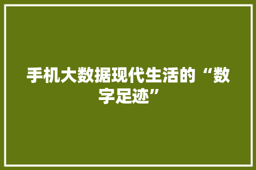 手机大数据现代生活的“数字足迹”