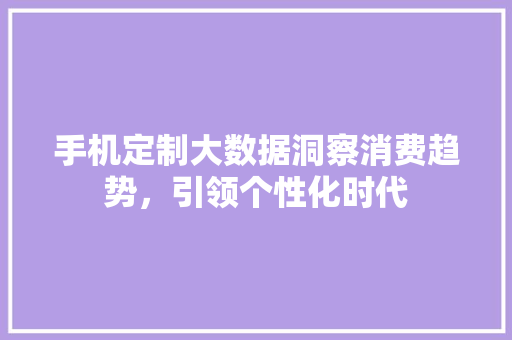 手机定制大数据洞察消费趋势，引领个性化时代