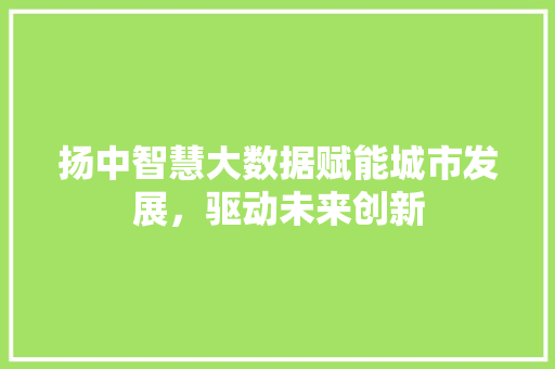 扬中智慧大数据赋能城市发展，驱动未来创新