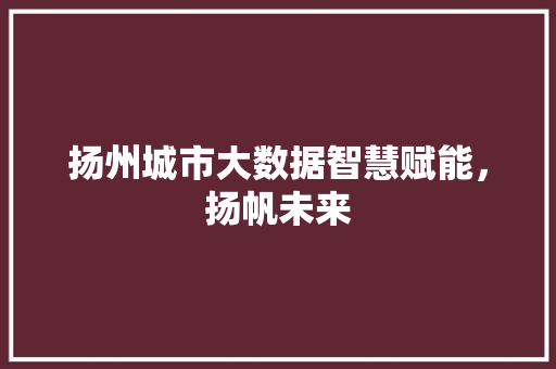扬州城市大数据智慧赋能，扬帆未来