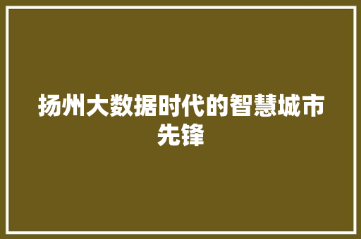 扬州大数据时代的智慧城市先锋