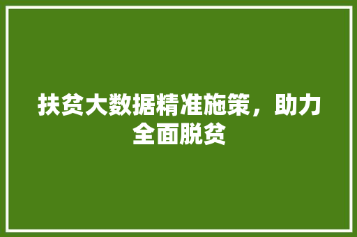 扶贫大数据精准施策，助力全面脱贫