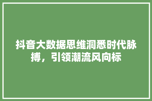 抖音大数据思维洞悉时代脉搏，引领潮流风向标