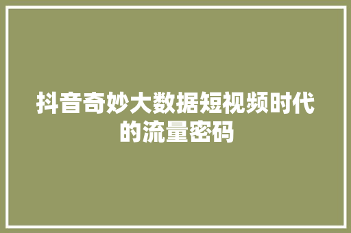 抖音奇妙大数据短视频时代的流量密码 抖音奇妙大数据短视频时代的流量密码