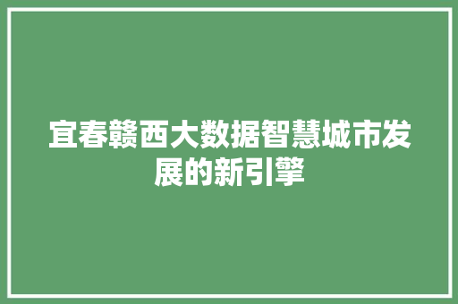 宜春赣西大数据智慧城市发展的新引擎