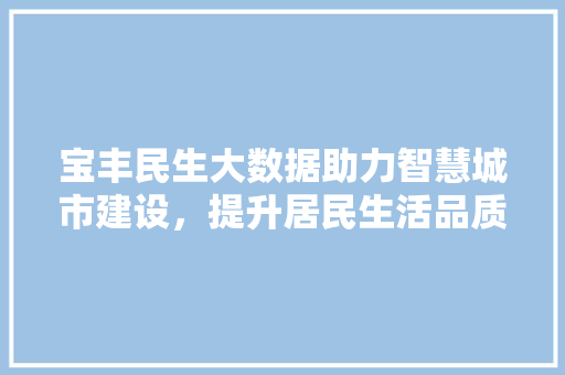 宝丰民生大数据助力智慧城市建设，提升居民生活品质