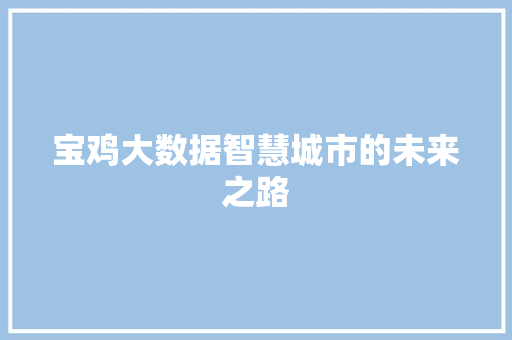 宝鸡大数据智慧城市的未来之路