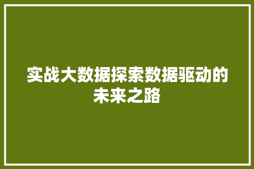 实战大数据探索数据驱动的未来之路