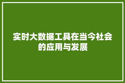 实时大数据工具在当今社会的应用与发展