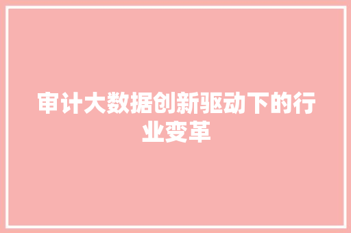 审计大数据创新驱动下的行业变革