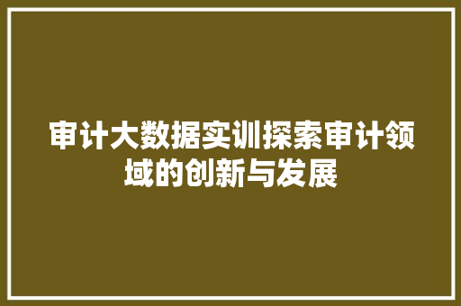 审计大数据实训探索审计领域的创新与发展