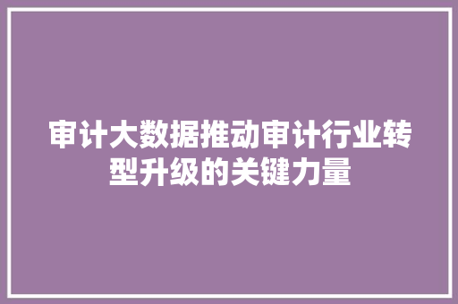 审计大数据推动审计行业转型升级的关键力量