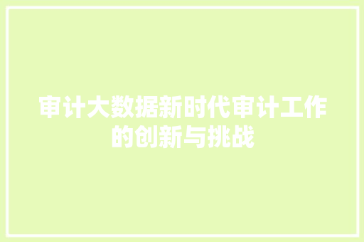 审计大数据新时代审计工作的创新与挑战