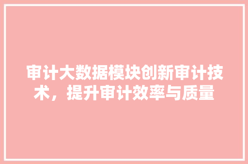 审计大数据模块创新审计技术，提升审计效率与质量