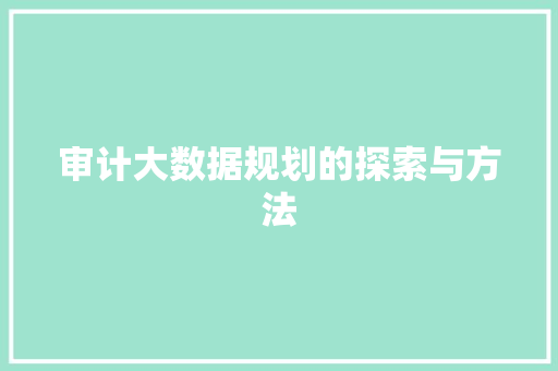 审计大数据规划的探索与方法