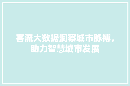 客流大数据洞察城市脉搏，助力智慧城市发展