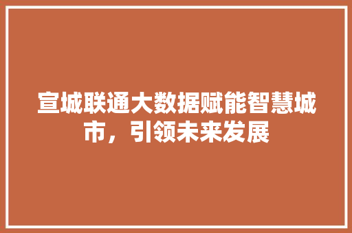 宣城联通大数据赋能智慧城市，引领未来发展