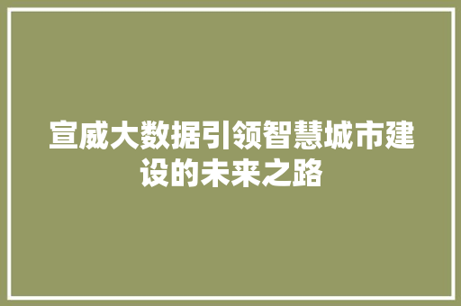 宣威大数据引领智慧城市建设的未来之路