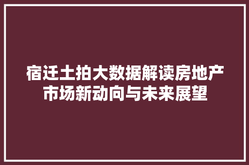 宿迁土拍大数据解读房地产市场新动向与未来展望