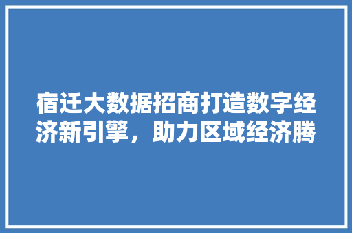 宿迁大数据招商打造数字经济新引擎，助力区域经济腾飞