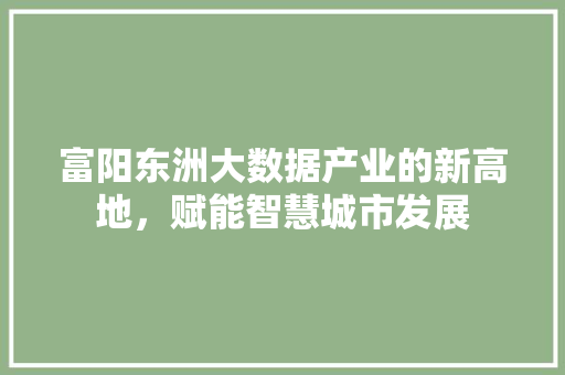 富阳东洲大数据产业的新高地，赋能智慧城市发展