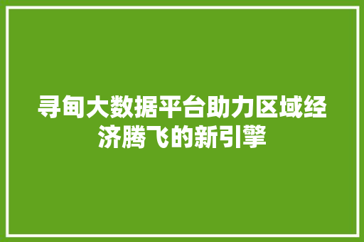 寻甸大数据平台助力区域经济腾飞的新引擎