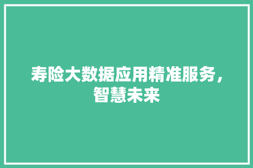 寿险大数据应用精准服务，智慧未来