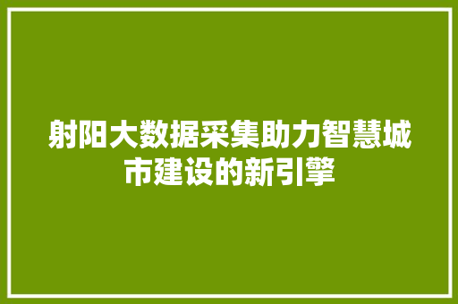 射阳大数据采集助力智慧城市建设的新引擎