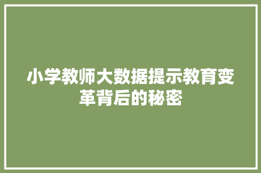 小学教师大数据提示教育变革背后的秘密