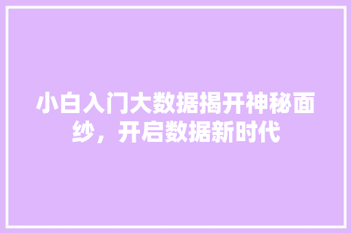 小白入门大数据揭开神秘面纱，开启数据新时代