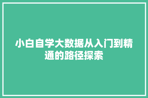 小白自学大数据从入门到精通的路径探索