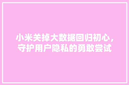 小米关掉大数据回归初心，守护用户隐私的勇敢尝试