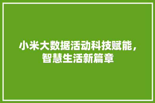 小米大数据活动科技赋能，智慧生活新篇章