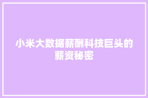 小米大数据薪酬科技巨头的薪资秘密