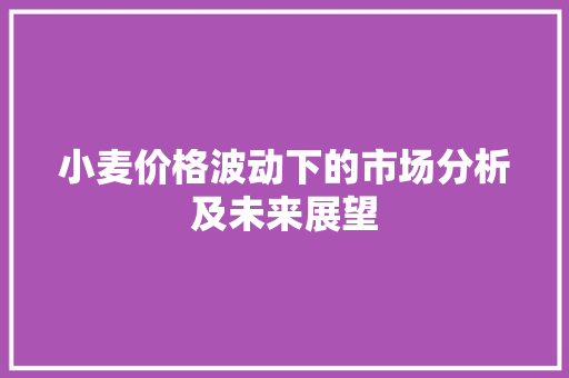 小麦价格波动下的市场分析及未来展望