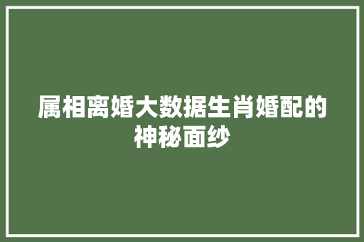 属相离婚大数据生肖婚配的神秘面纱