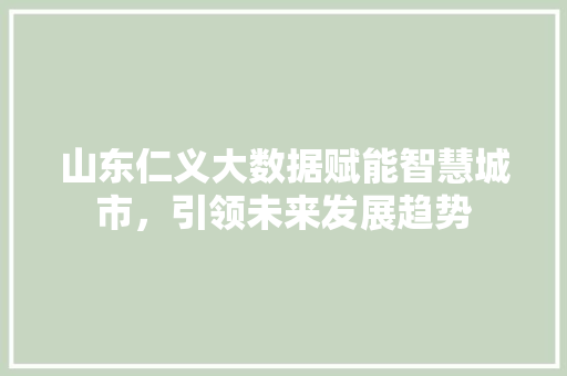 山东仁义大数据赋能智慧城市，引领未来发展趋势