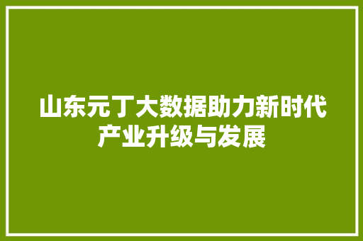 山东元丁大数据助力新时代产业升级与发展 电脑故障维修