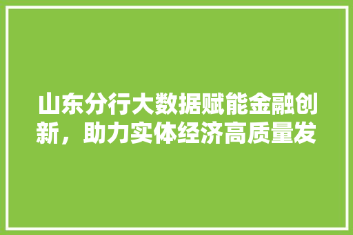 山东分行大数据赋能金融创新，助力实体经济高质量发展 电脑故障维修