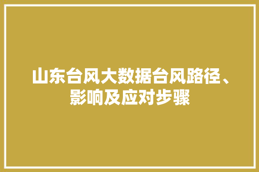 山东台风大数据台风路径、影响及应对步骤 电脑基础