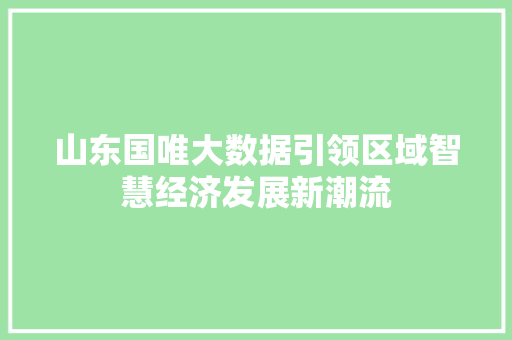 山东国唯大数据引领区域智慧经济发展新潮流 电脑故障维修